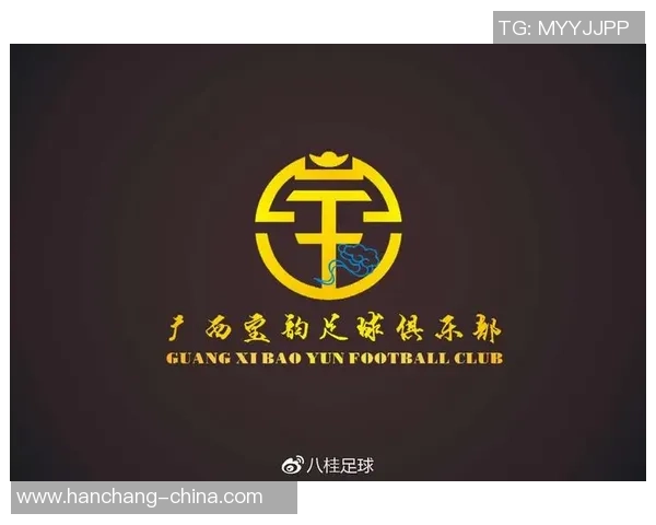 寿县第一球星足球学校助力青少年足球梦想 打造未来足球明星摇篮